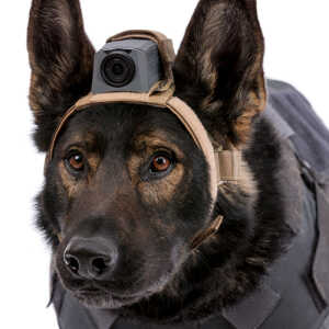 Mohoc, K9 Head Harness, Black